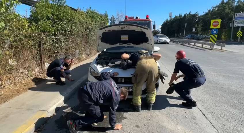 Yaramaz yavru kediler iş başında itfaiye de peşlerinde 4